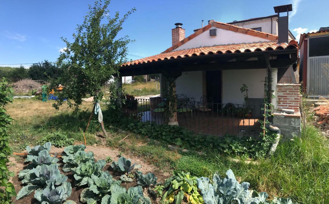Casa De Pueblo Con Merendero Alquilable Opcionalmente Casarejos 외부 사진